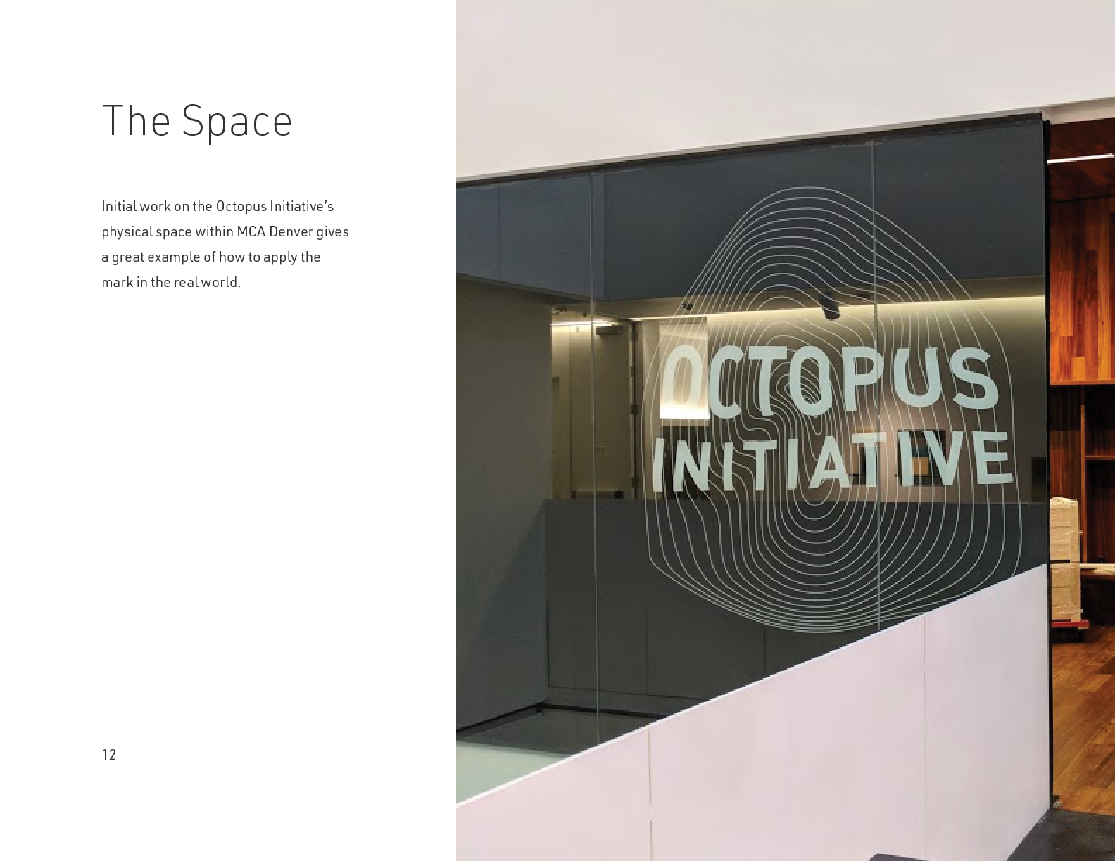 The Octopus Initiative Brand Guidelines - Page 12