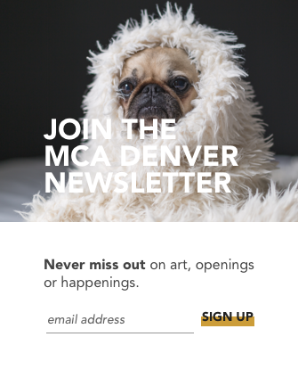 Call to Action: Newsletter Signup