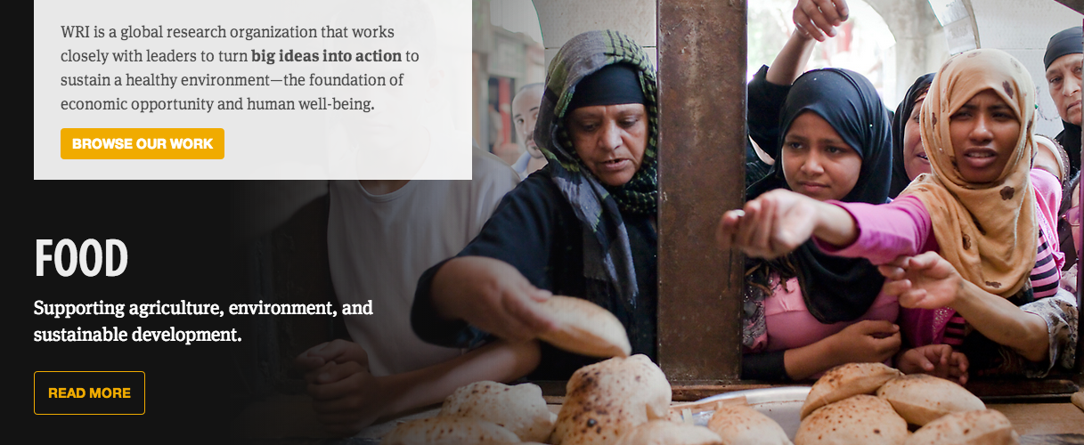 Designing for global human impact