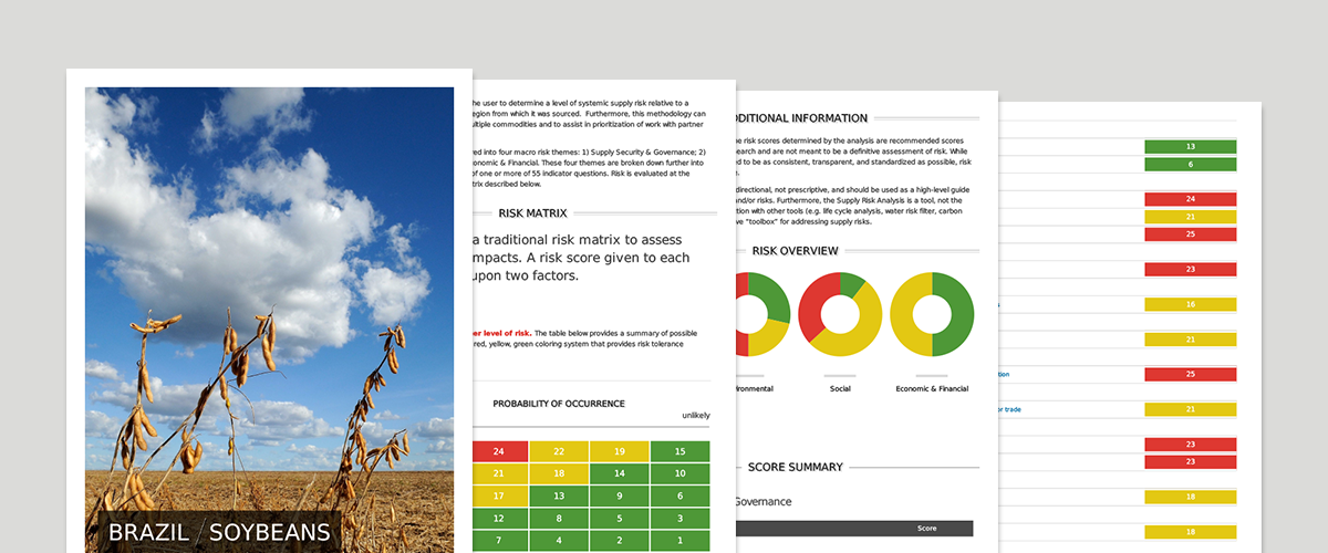 Dynamic PDF Export
